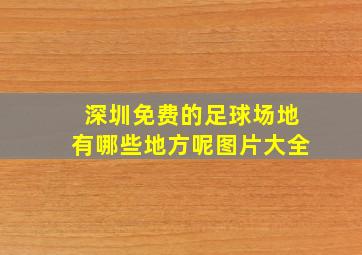 深圳免费的足球场地有哪些地方呢图片大全