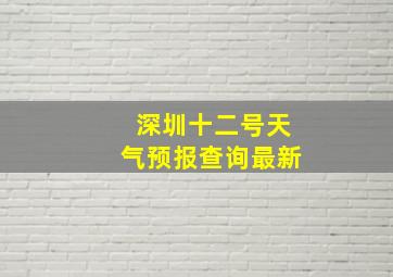 深圳十二号天气预报查询最新