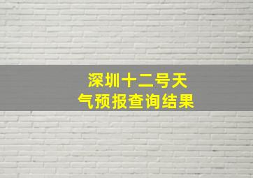 深圳十二号天气预报查询结果