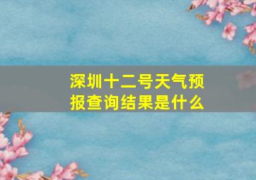 深圳十二号天气预报查询结果是什么