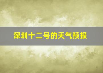 深圳十二号的天气预报