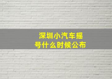 深圳小汽车摇号什么时候公布