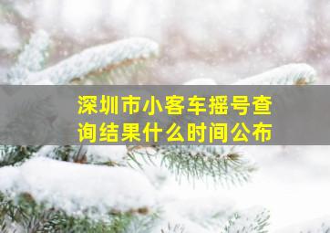 深圳市小客车摇号查询结果什么时间公布