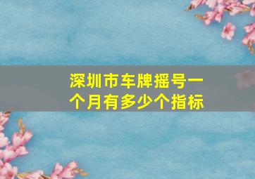 深圳市车牌摇号一个月有多少个指标