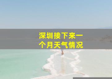 深圳接下来一个月天气情况