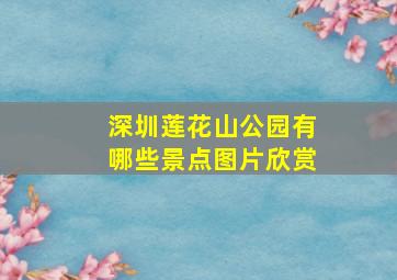 深圳莲花山公园有哪些景点图片欣赏