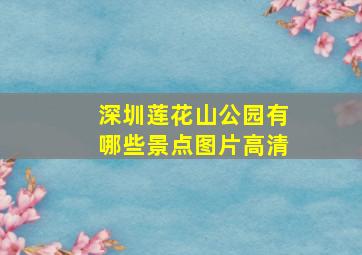 深圳莲花山公园有哪些景点图片高清