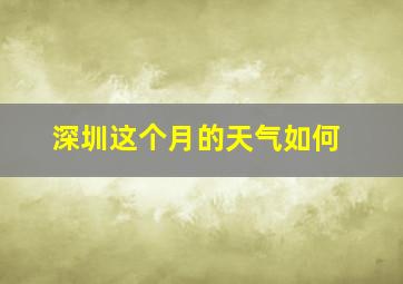 深圳这个月的天气如何