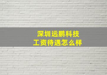 深圳远鹏科技工资待遇怎么样