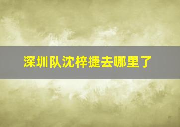 深圳队沈梓捷去哪里了