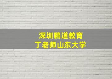 深圳鹏道教育丁老师山东大学