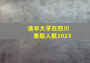 清华大学在四川录取人数2023