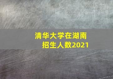 清华大学在湖南招生人数2021