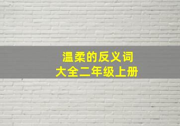 温柔的反义词大全二年级上册