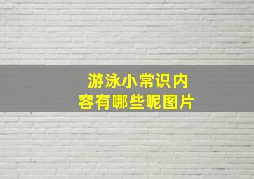 游泳小常识内容有哪些呢图片