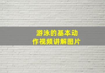 游泳的基本动作视频讲解图片