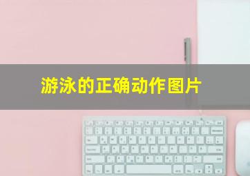 游泳的正确动作图片