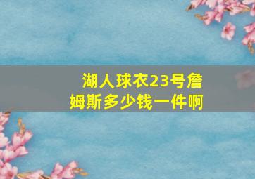 湖人球衣23号詹姆斯多少钱一件啊