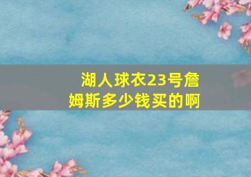 湖人球衣23号詹姆斯多少钱买的啊