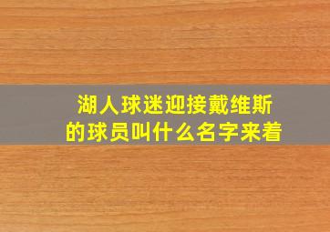 湖人球迷迎接戴维斯的球员叫什么名字来着