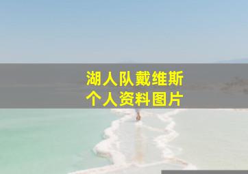 湖人队戴维斯个人资料图片