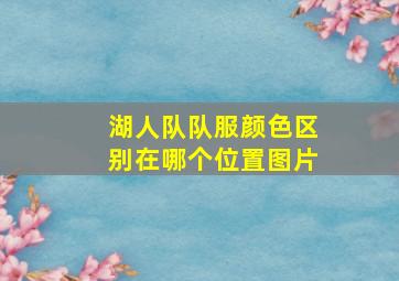 湖人队队服颜色区别在哪个位置图片