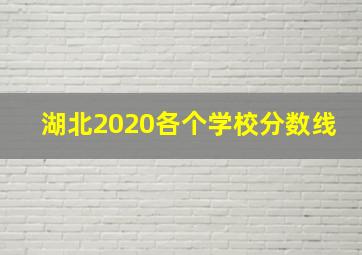 湖北2020各个学校分数线