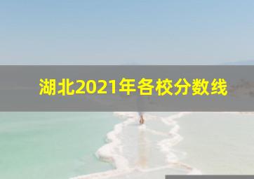 湖北2021年各校分数线