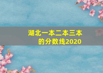 湖北一本二本三本的分数线2020