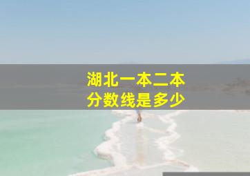 湖北一本二本分数线是多少