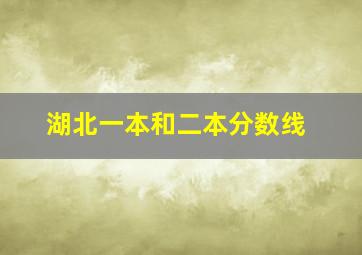 湖北一本和二本分数线