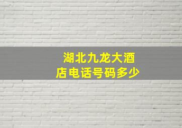 湖北九龙大酒店电话号码多少