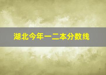 湖北今年一二本分数线