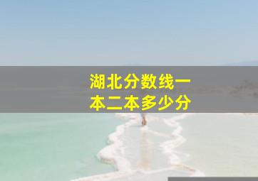 湖北分数线一本二本多少分