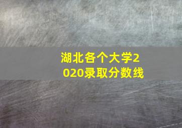 湖北各个大学2020录取分数线