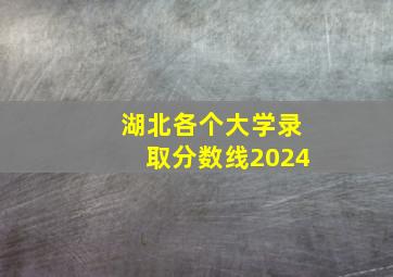 湖北各个大学录取分数线2024