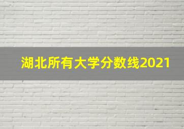 湖北所有大学分数线2021