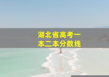 湖北省高考一本二本分数线