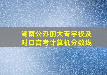 湖南公办的大专学校及对口高考计算机分数线