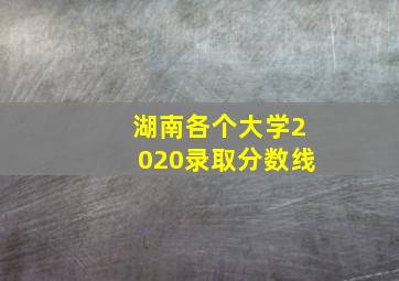 湖南各个大学2020录取分数线