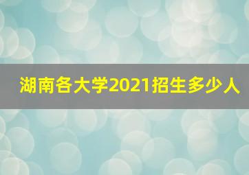 湖南各大学2021招生多少人