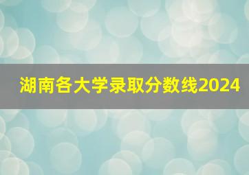 湖南各大学录取分数线2024