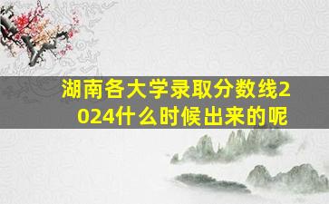 湖南各大学录取分数线2024什么时候出来的呢