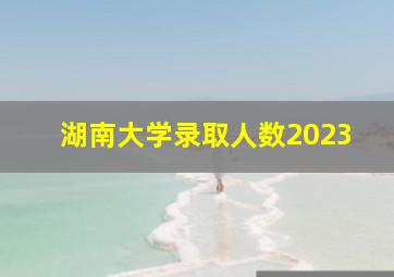 湖南大学录取人数2023