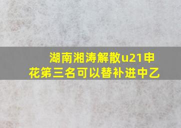 湖南湘涛解散u21申花笫三名可以替补进中乙