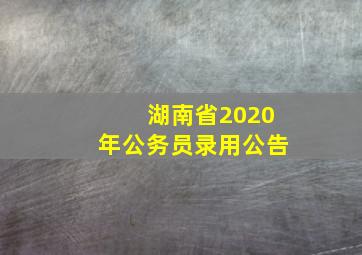 湖南省2020年公务员录用公告