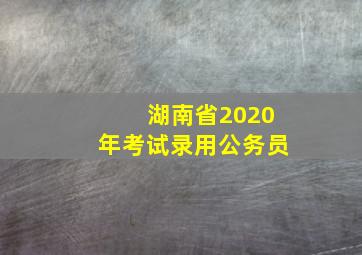 湖南省2020年考试录用公务员