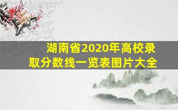 湖南省2020年高校录取分数线一览表图片大全