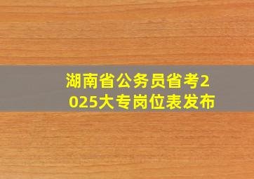 湖南省公务员省考2025大专岗位表发布