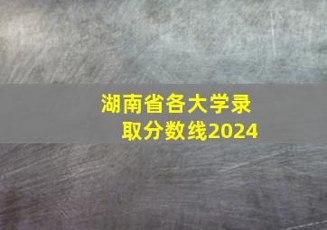 湖南省各大学录取分数线2024